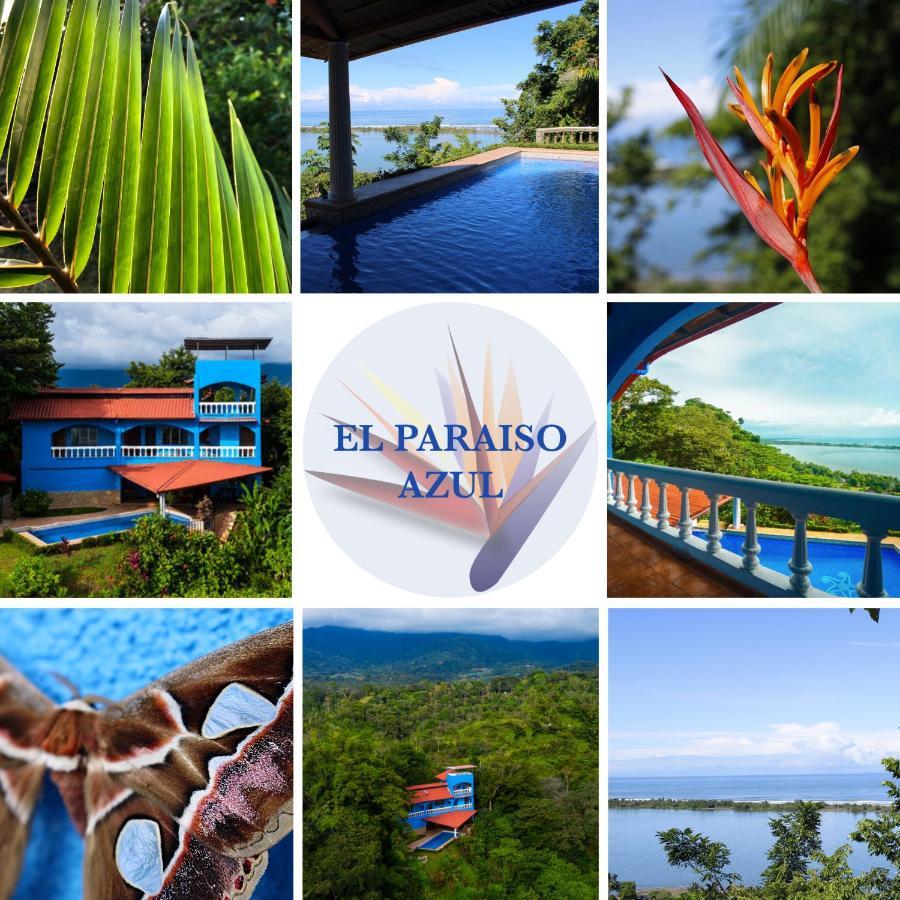El Paraiso Azul Ojochal Bagian luar foto